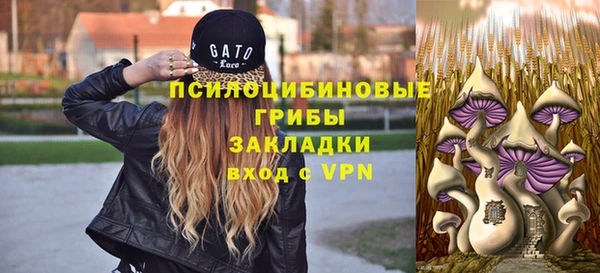 синтетический гашиш Алексин
