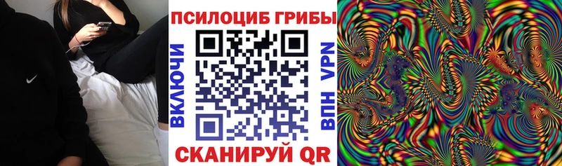 где продают   Куйбышев  Галлюциногенные грибы Psilocybine cubensis 